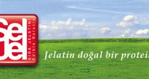 Seljel Jelatin2